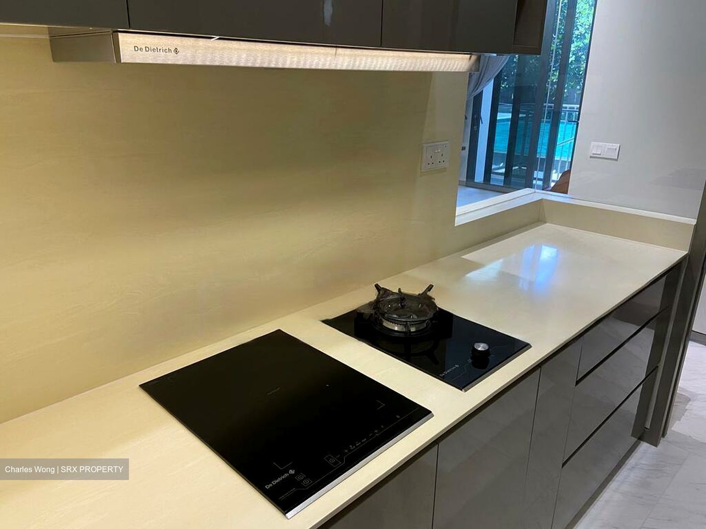 Robin Residences (D10), Condominium #439098561